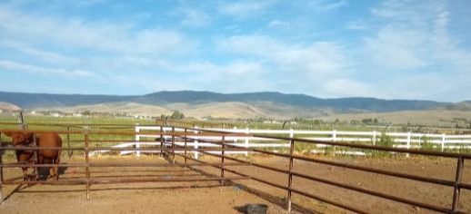 4 rail fence