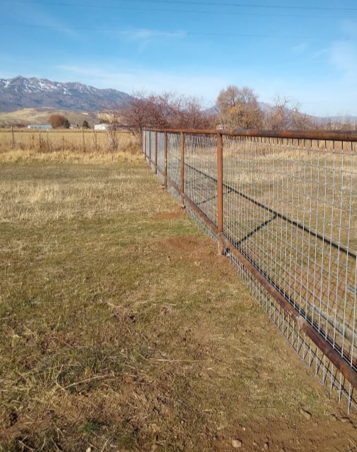 Hog Panel Fence