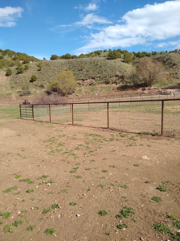 Hog Panel Fence