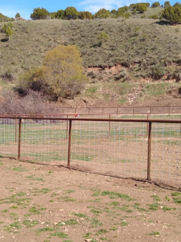 Hog Panel Fence