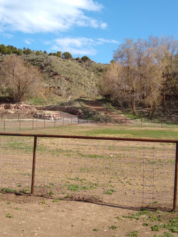 Hog Panel Fence