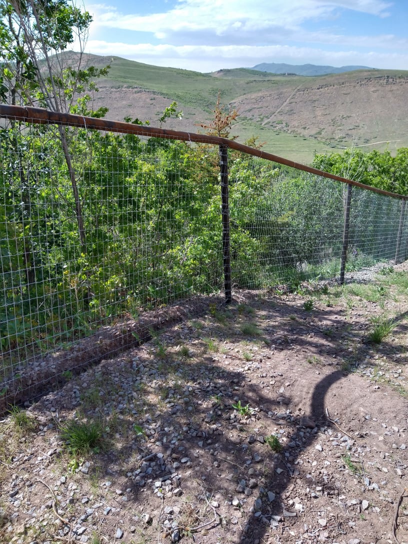 Top Rail with No Climb Horse Fence