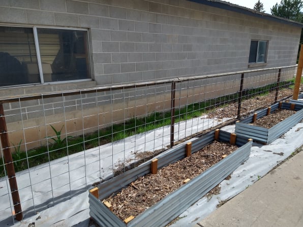 Hog Panel Fence